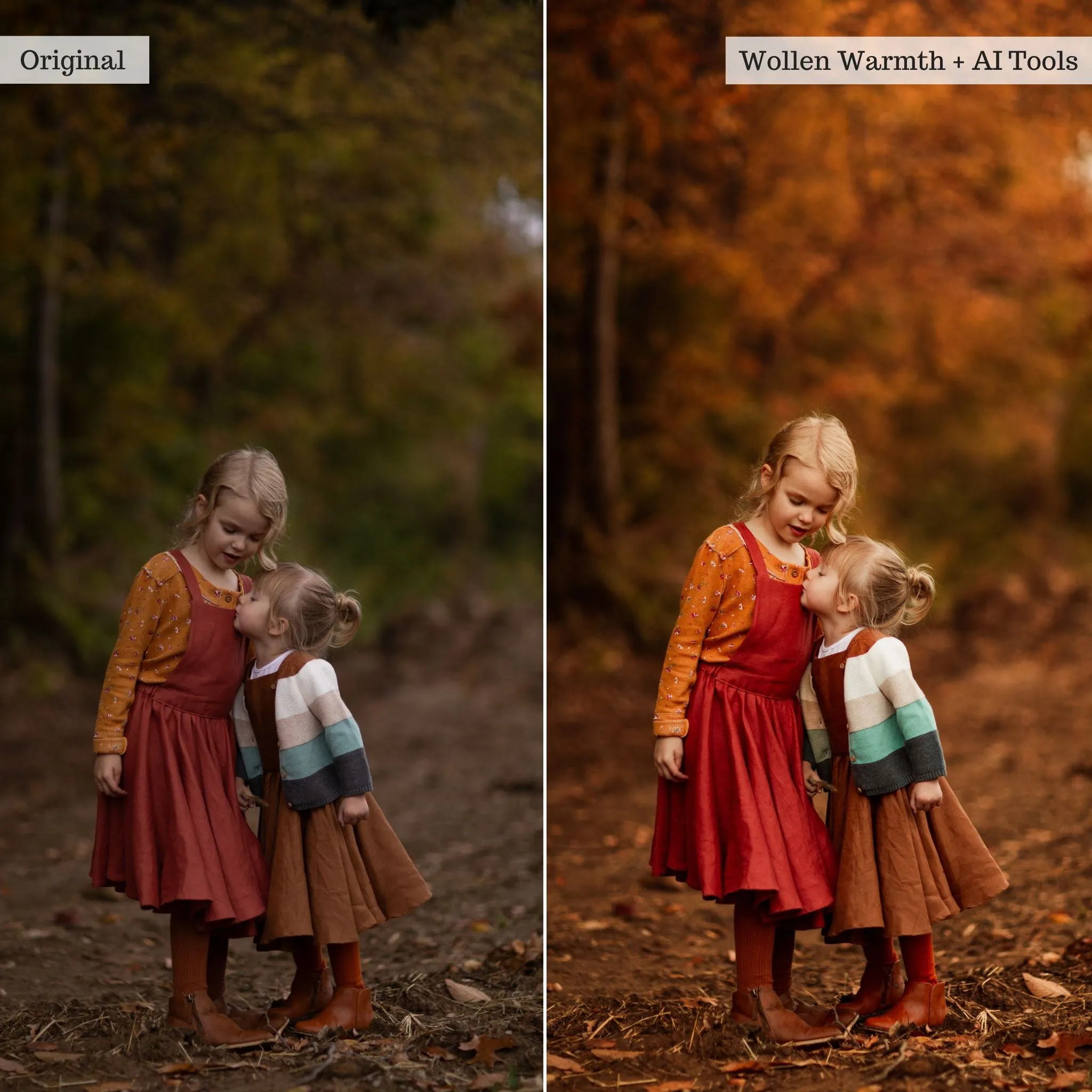 Sweater Weather v2.0 Lightroom Presets & AI Tools