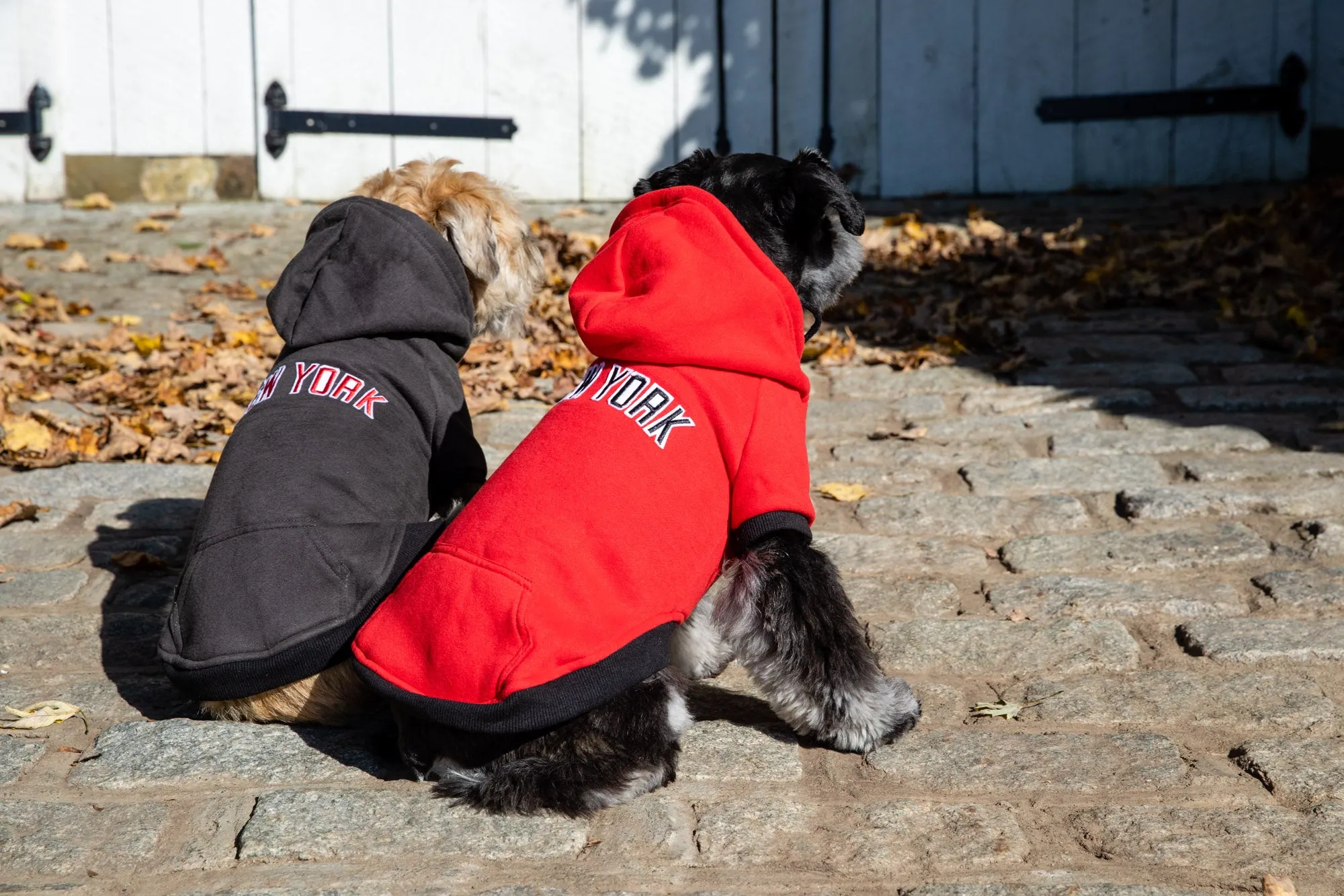 Sweatshirt Hoodie - NYC Dog Hoodie - Dog Sweatshirt - 4 Color Options