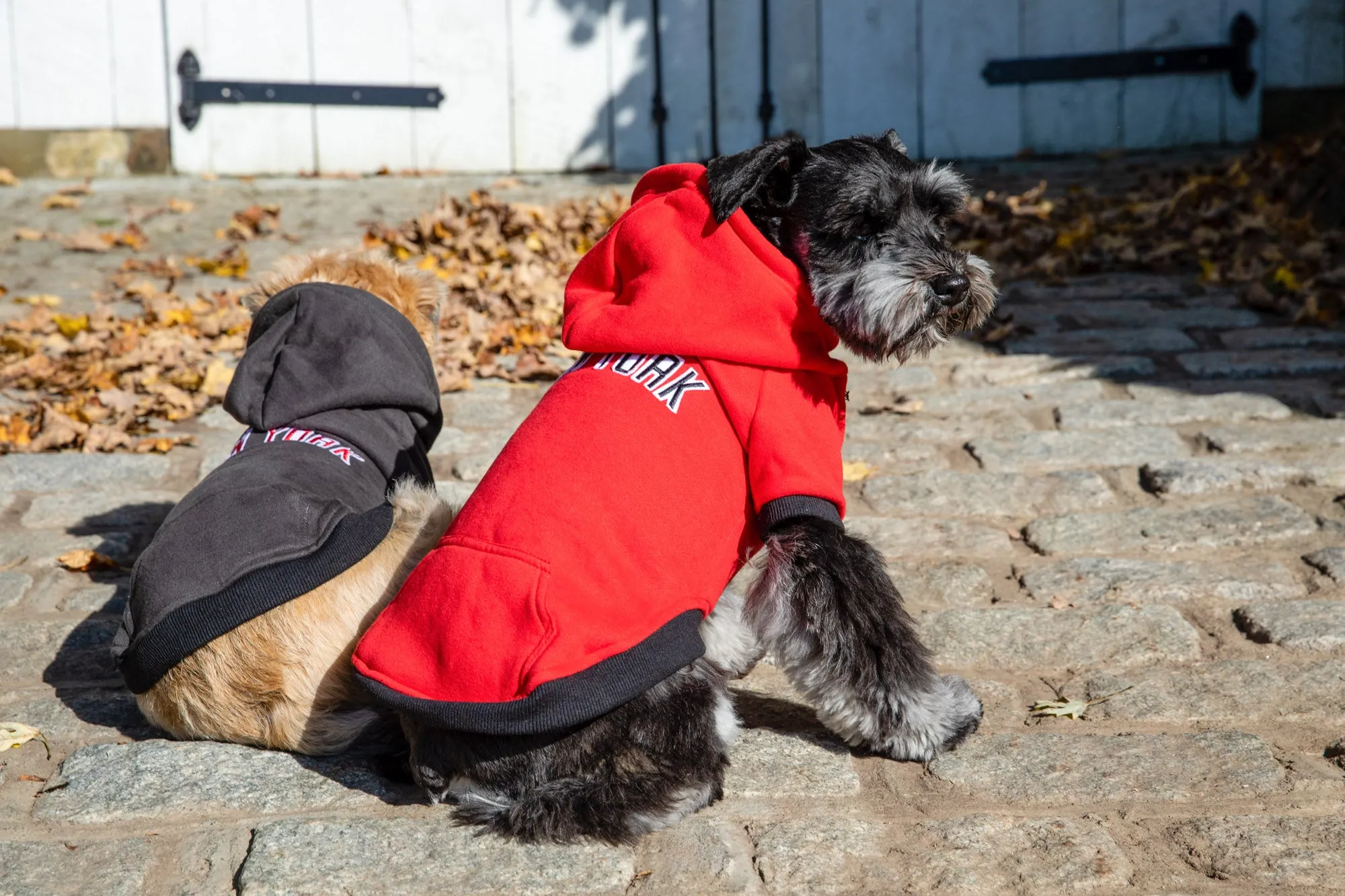 Sweatshirt Hoodie - NYC Dog Hoodie - Dog Sweatshirt - 4 Color Options