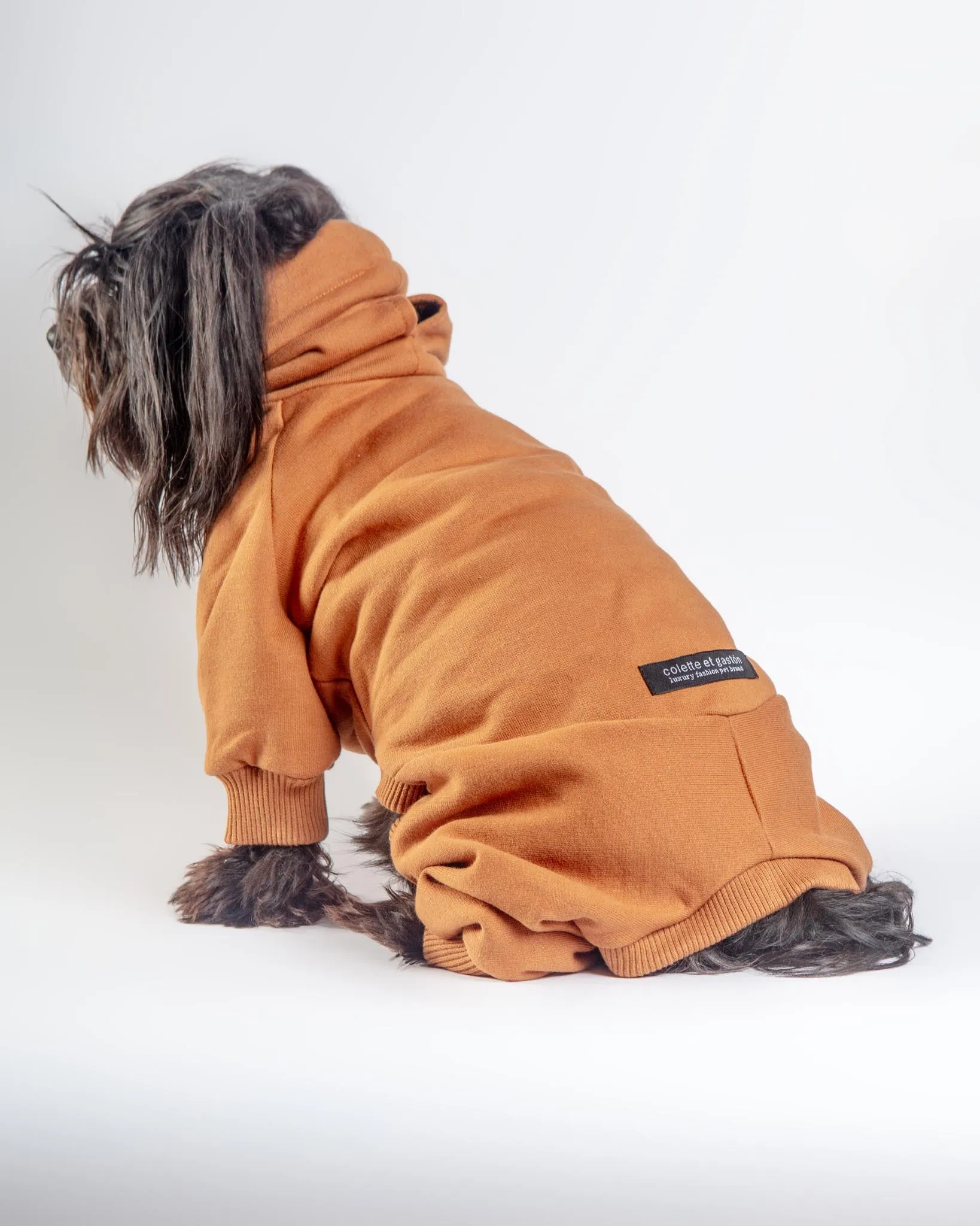 Sweatsuit Onesie for Dogs in Camel