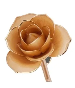 Sweet Cream - 24K Dipped Rose