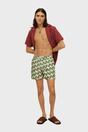 Swim Shorts in Atlas