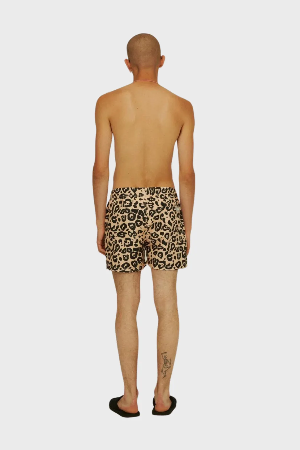 Swim Shorts in Leo