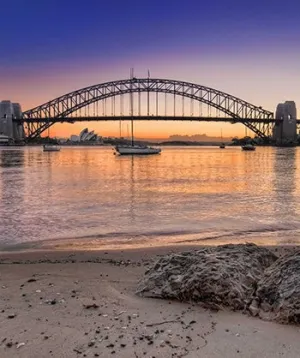 Sydney Harbour Bridge Scenic Printed Backdrop