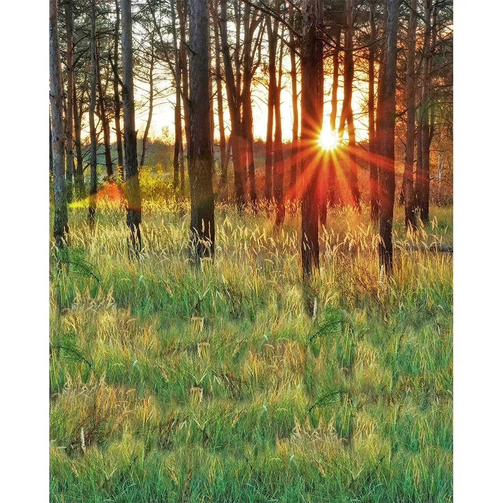 Tall Grass Printed Backdrop