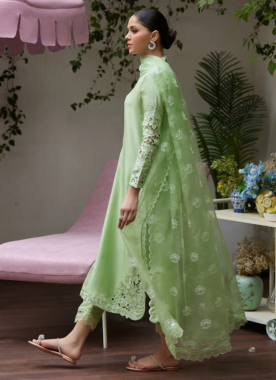 Tara Luxe Edit '24 - Katya Apple Green Cutwork Raw Silk Shirt With Organza Dupatta