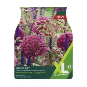 Taylors 15 Allium Honey Pot Bulbs