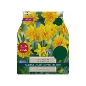 Taylors 15 Narcissus Tete Boucle Daffodil Bulbs