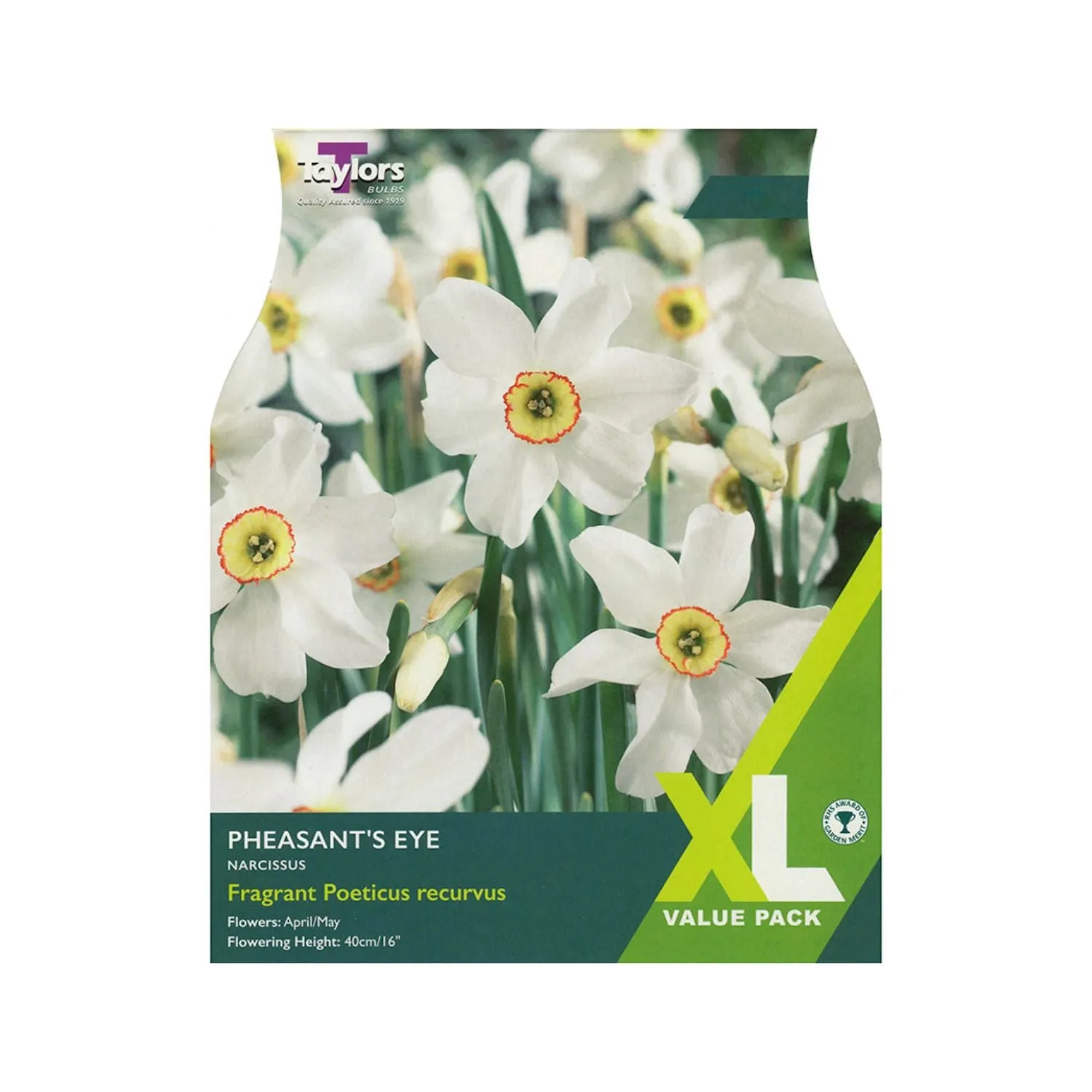 Taylors 15 Pheasant's Eye Narcissus Bulbs