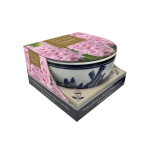 Taylors 3 Pink Hyacinth Delft Bowl Indoor Bulb Gift Set