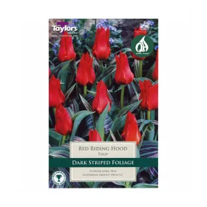 Taylors 8 Red Riding Hood Tulip Bulbs