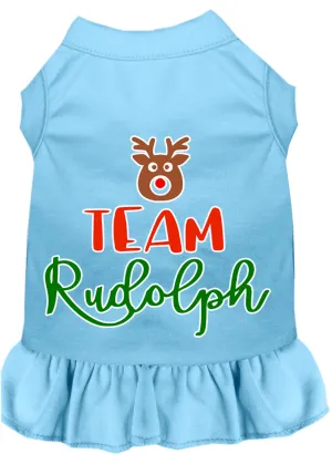 Team Rudolph Screen Print Dog Dress Baby Blue Sm