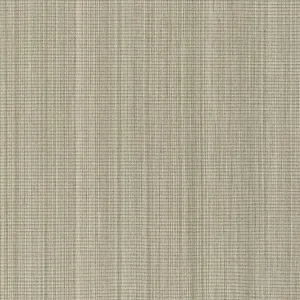 Tenille Velvet Carpet, Fern