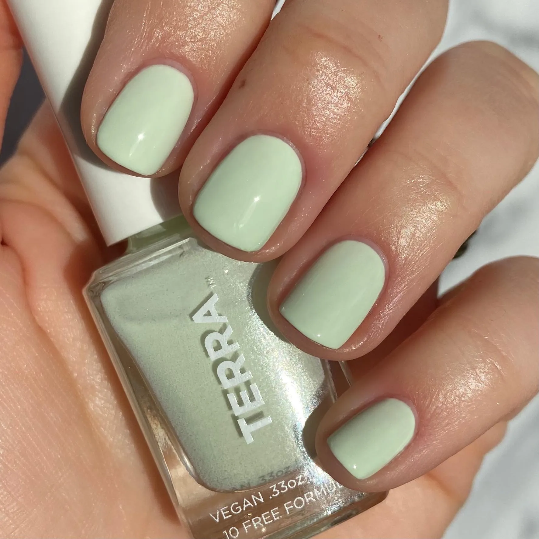 Terra Nail Polish No. 22 Light Mint Green