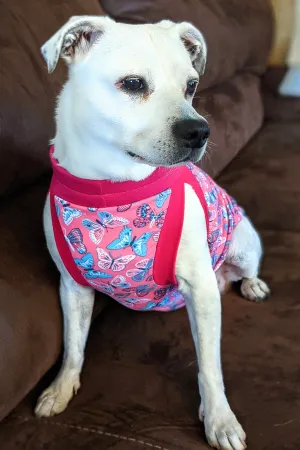 The Graceful Butterfly Dog Pajama