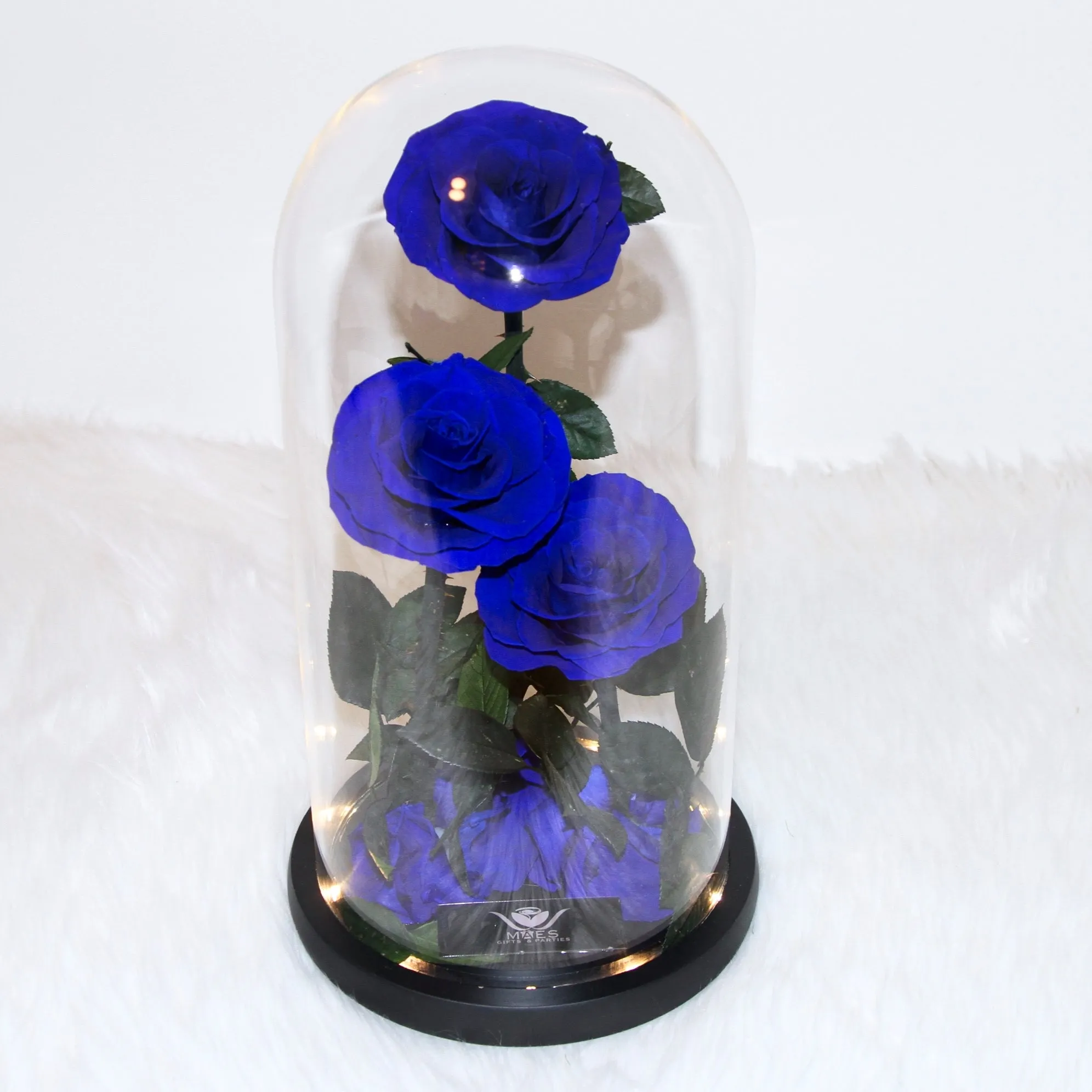 The Three Lovely Preserved Roses | Dark Blue