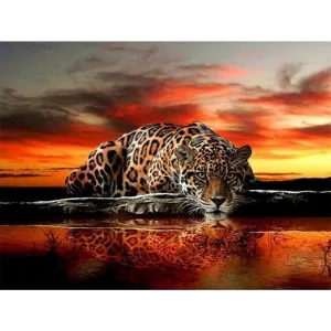 Tiger - 5D DIY Round Drill Diamond Painting (Canvas (Canvas 40x40cm/15.71x15.71in )/15.71x11.81in )