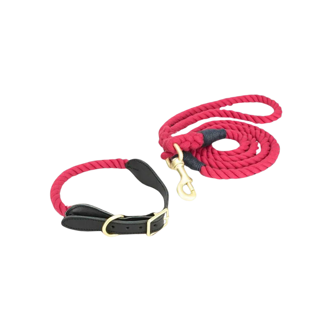 Timberline Trail Heritage Collar and Leash