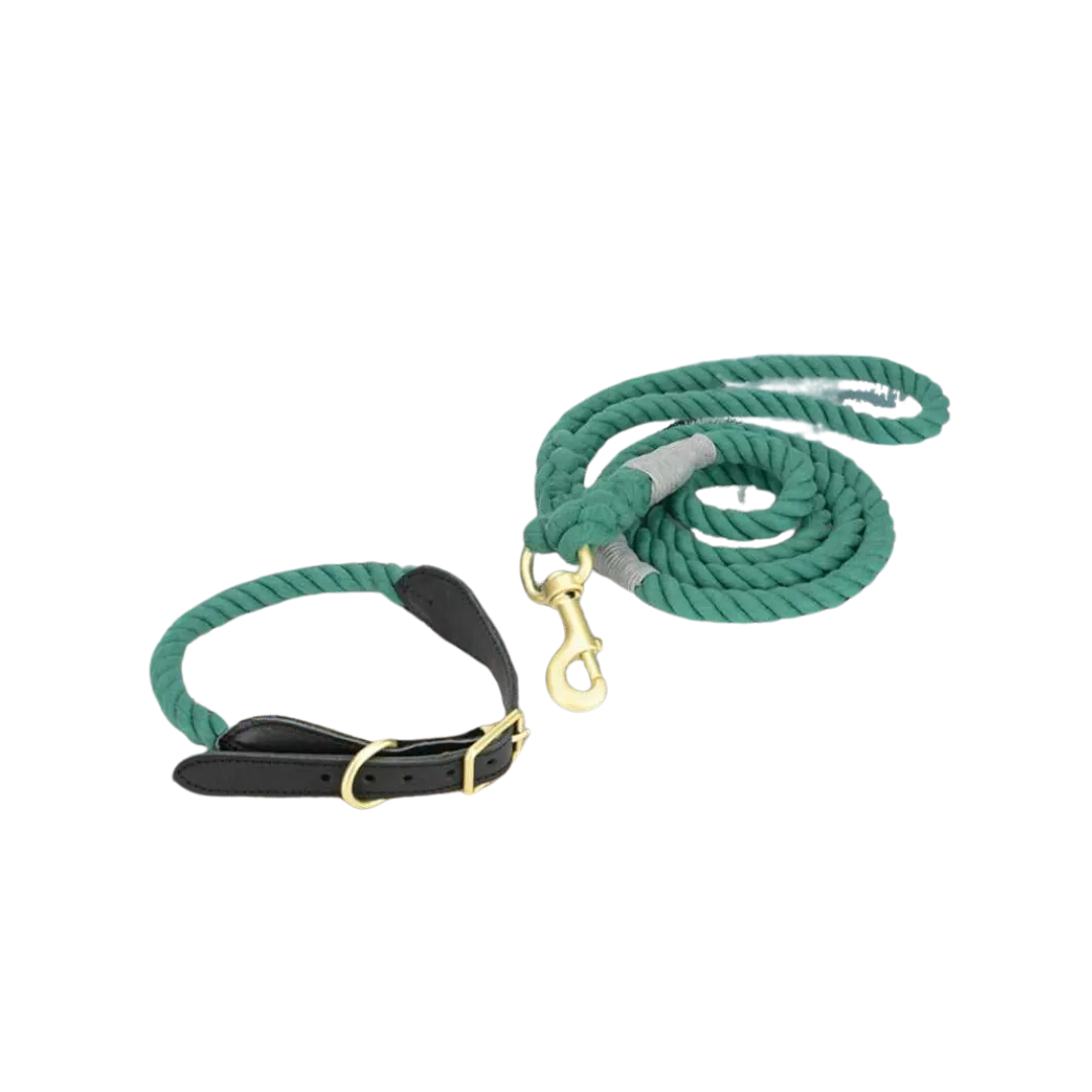 Timberline Trail Heritage Collar and Leash