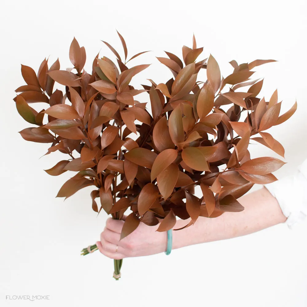 Tinted Bronze Israeli Ruscus Greenery