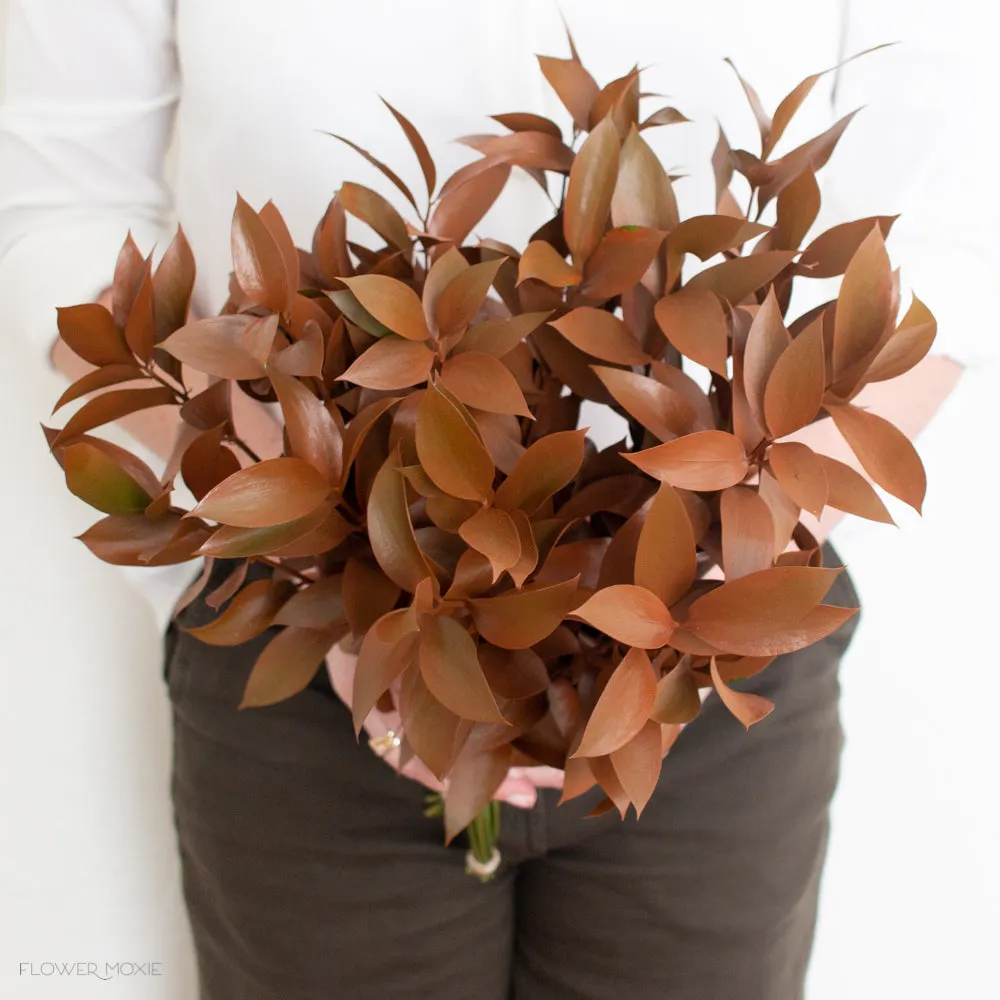 Tinted Bronze Israeli Ruscus Greenery