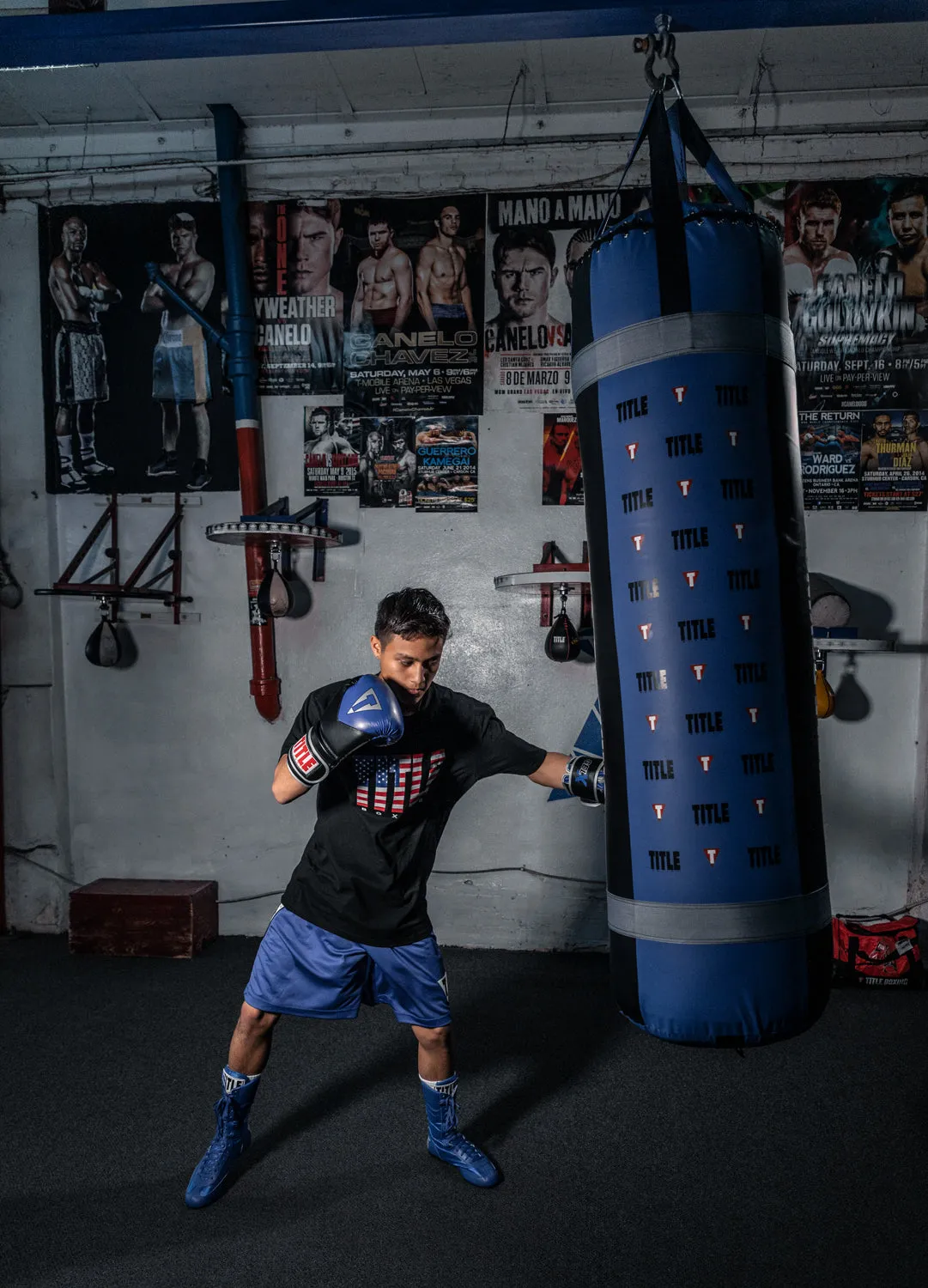 TITLE Boxing Greatest Heavy Bag Ever