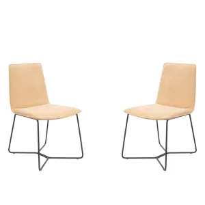 Tommy Franks Nomina Dining Chair - Warwick Copeland Honey - Set of 2