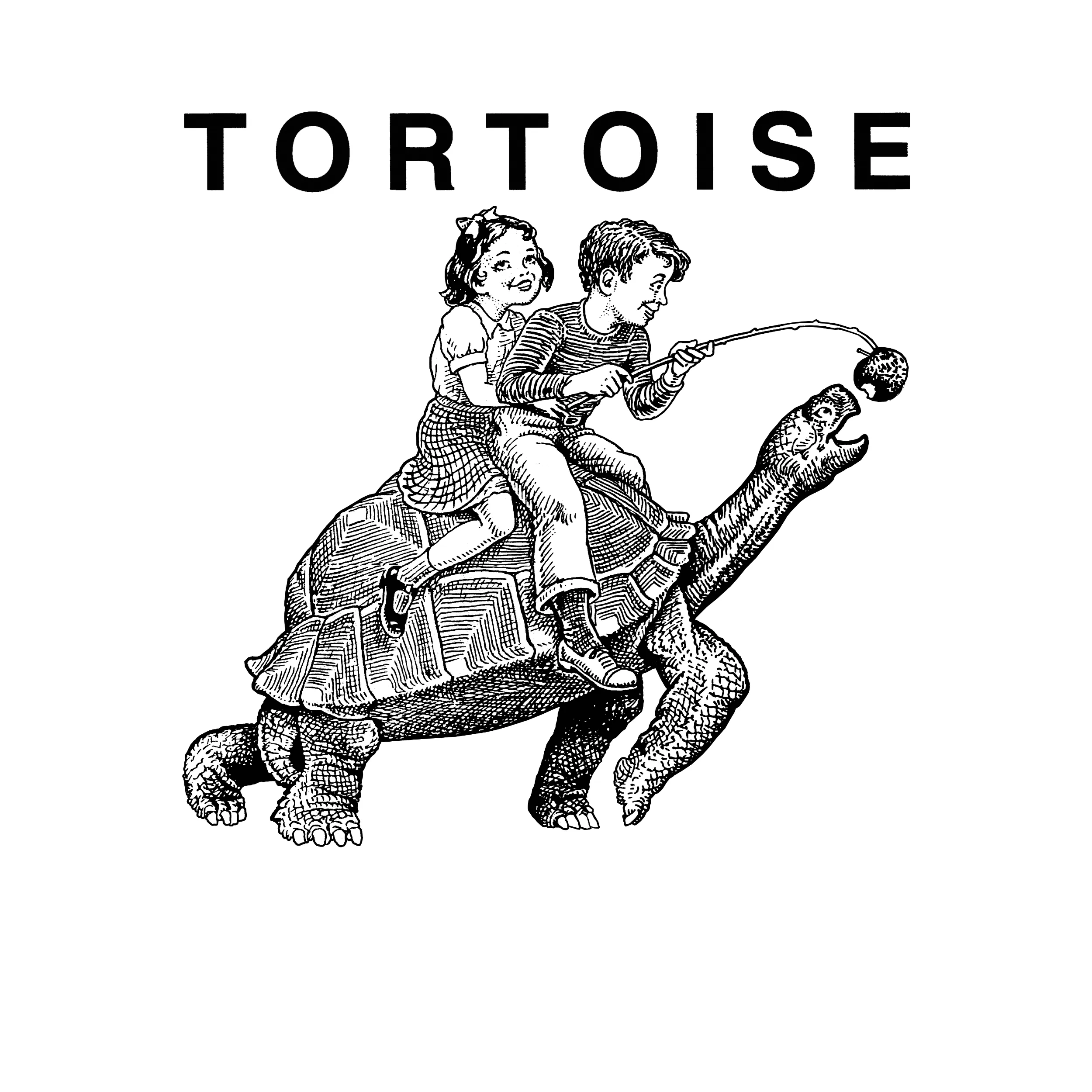 Tortoise Lonesome Sound Slim Fit Tee