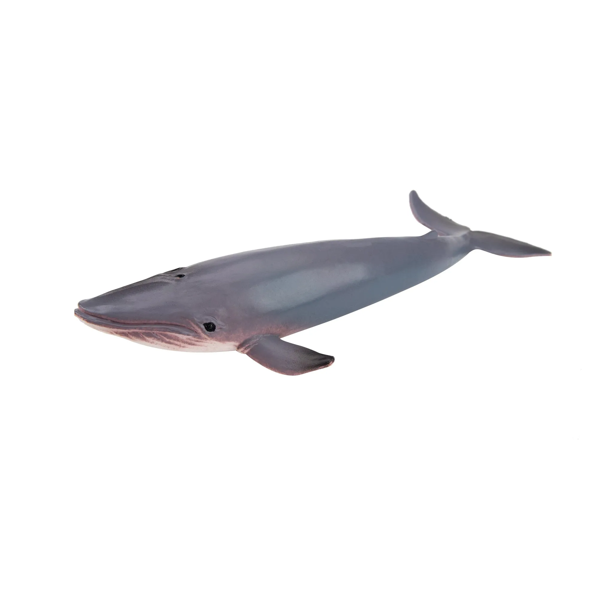 Toymany Blue Whale Figurine Toy - Small Size