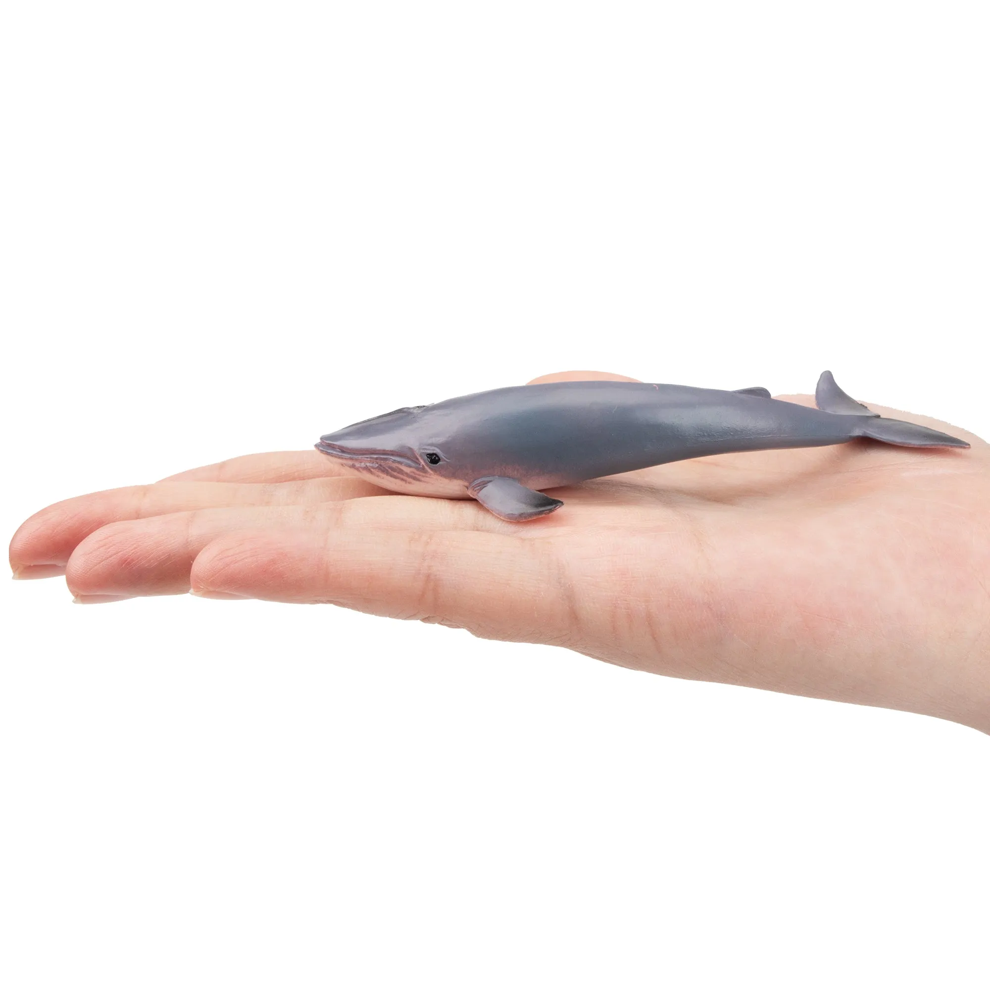 Toymany Blue Whale Figurine Toy - Small Size