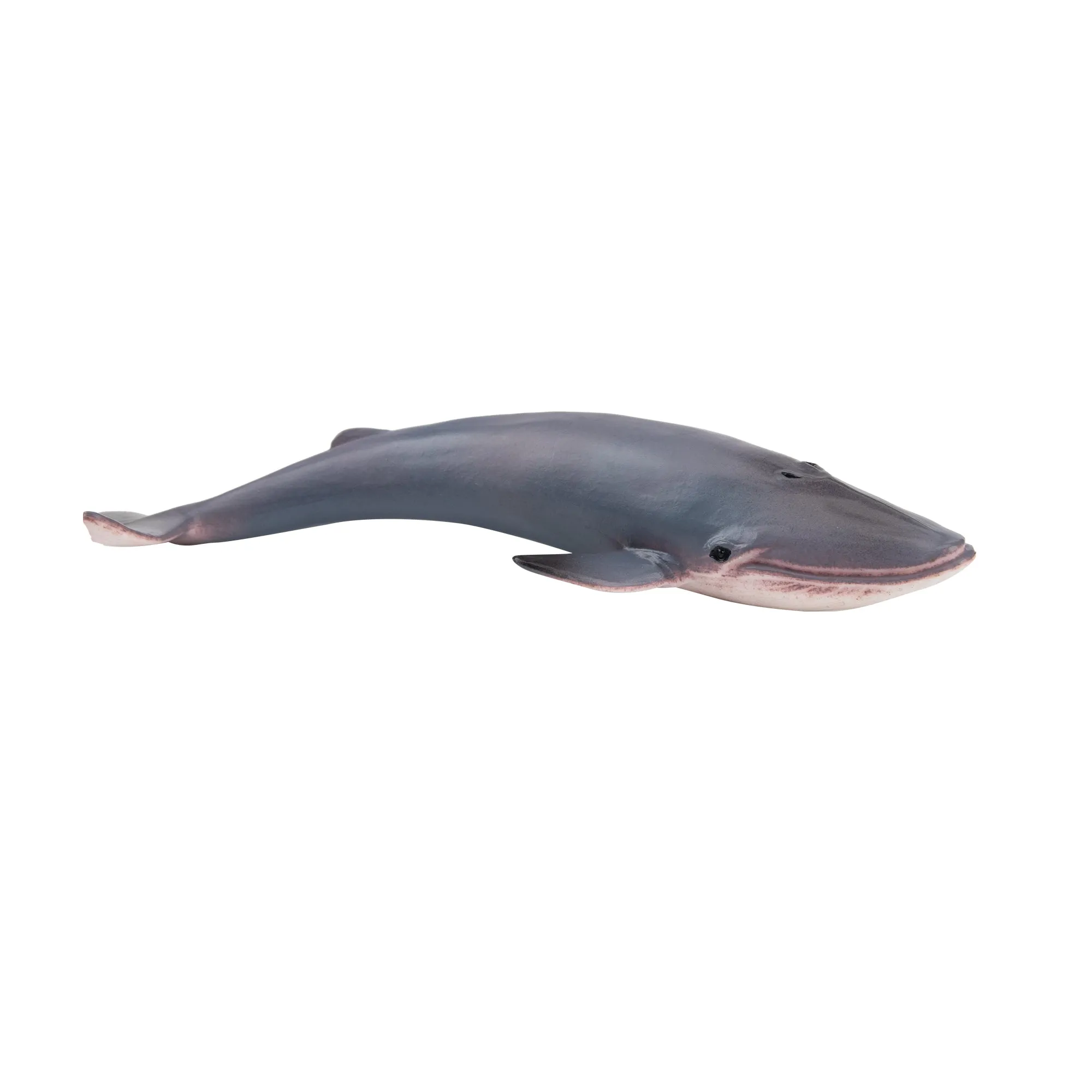 Toymany Blue Whale Figurine Toy - Small Size