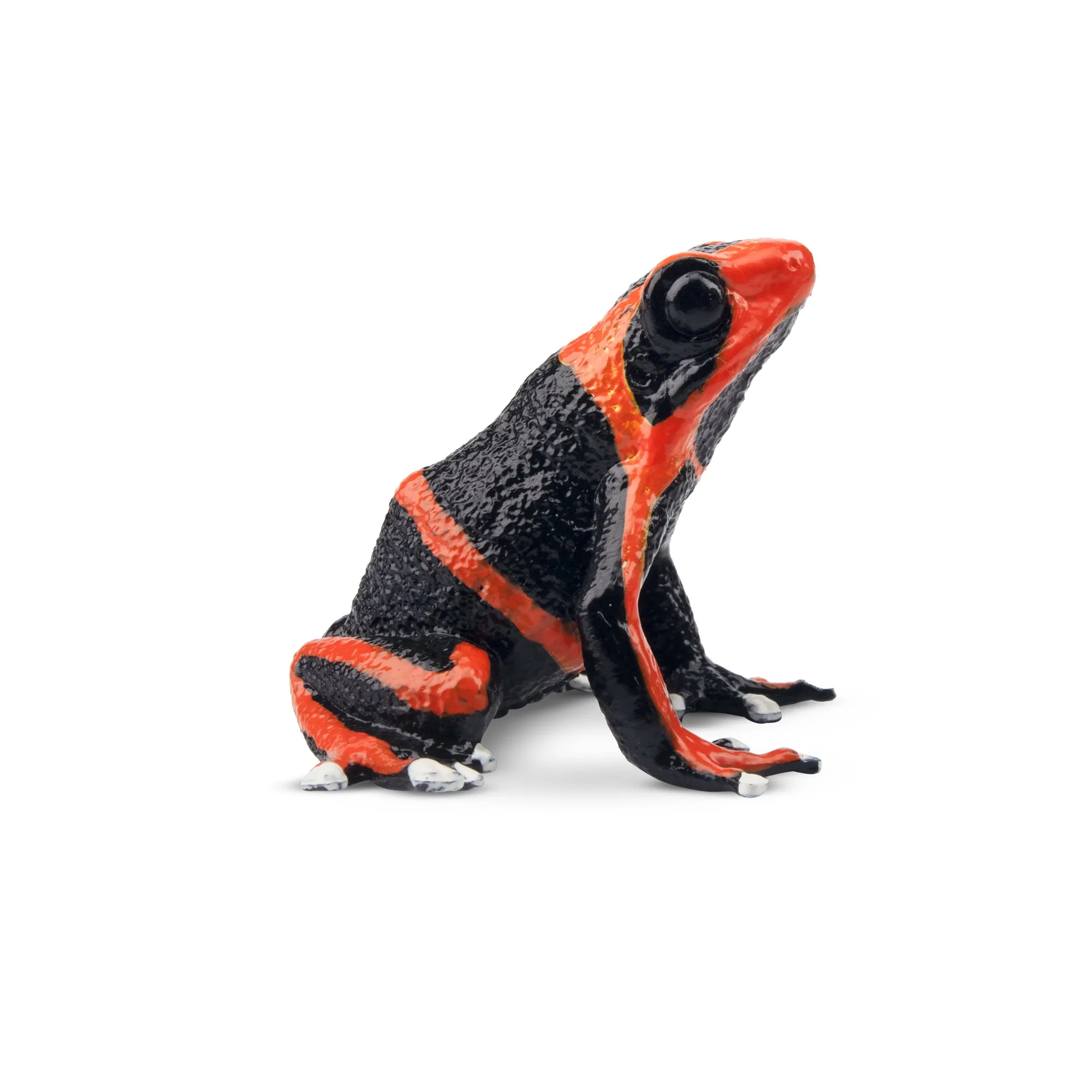 Toymany Lehmann's Poison Frog Figurine Toy