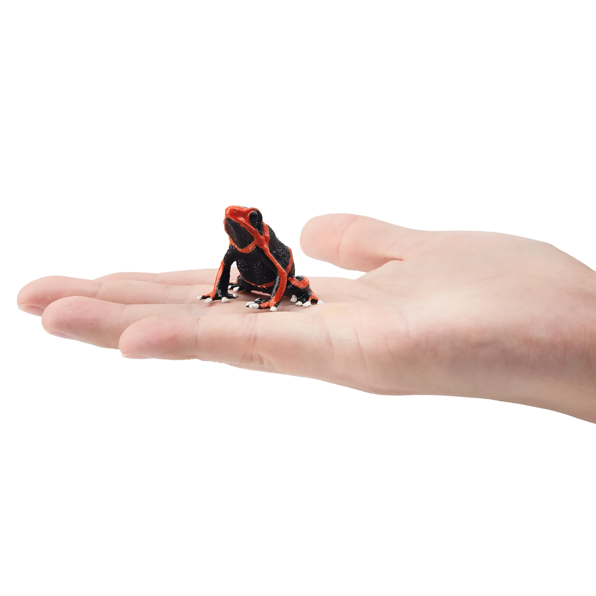 Toymany Lehmann's Poison Frog Figurine Toy