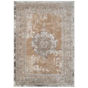 Traditional Distressed Beige Area Rug - Victoria