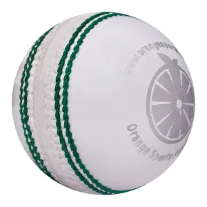 Training 142g 2 Piece White Cricket Ball