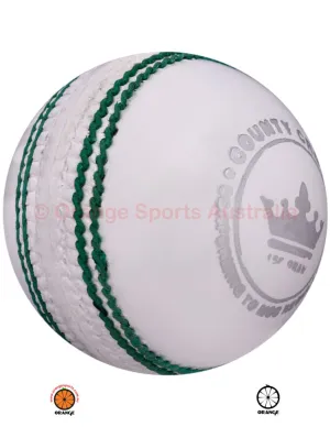 Training 156g 2 Piece White Cricket Ball