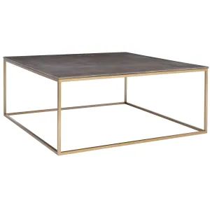 Trebon Modern Coffee Table