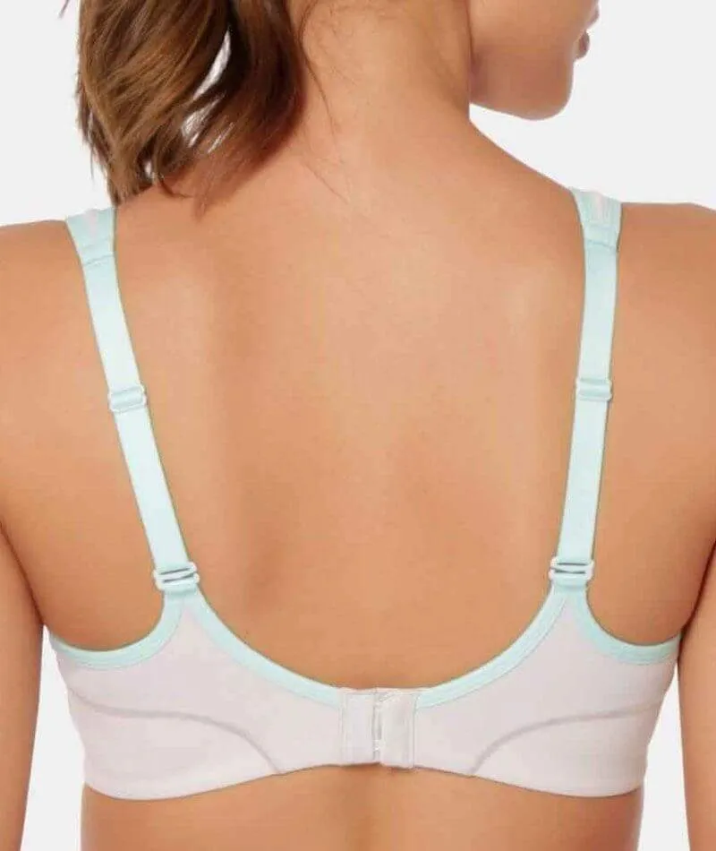 Triumph Triaction Performance Sports Bra - Platino