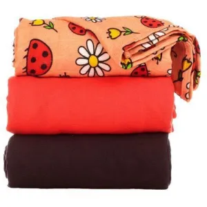 Tula Blanket - Ladybug Picnic (Set)