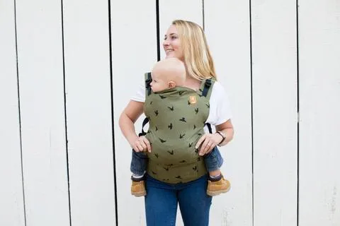 Tula Toddler Carrier Soar