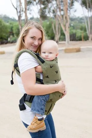 Tula Toddler Carrier Soar