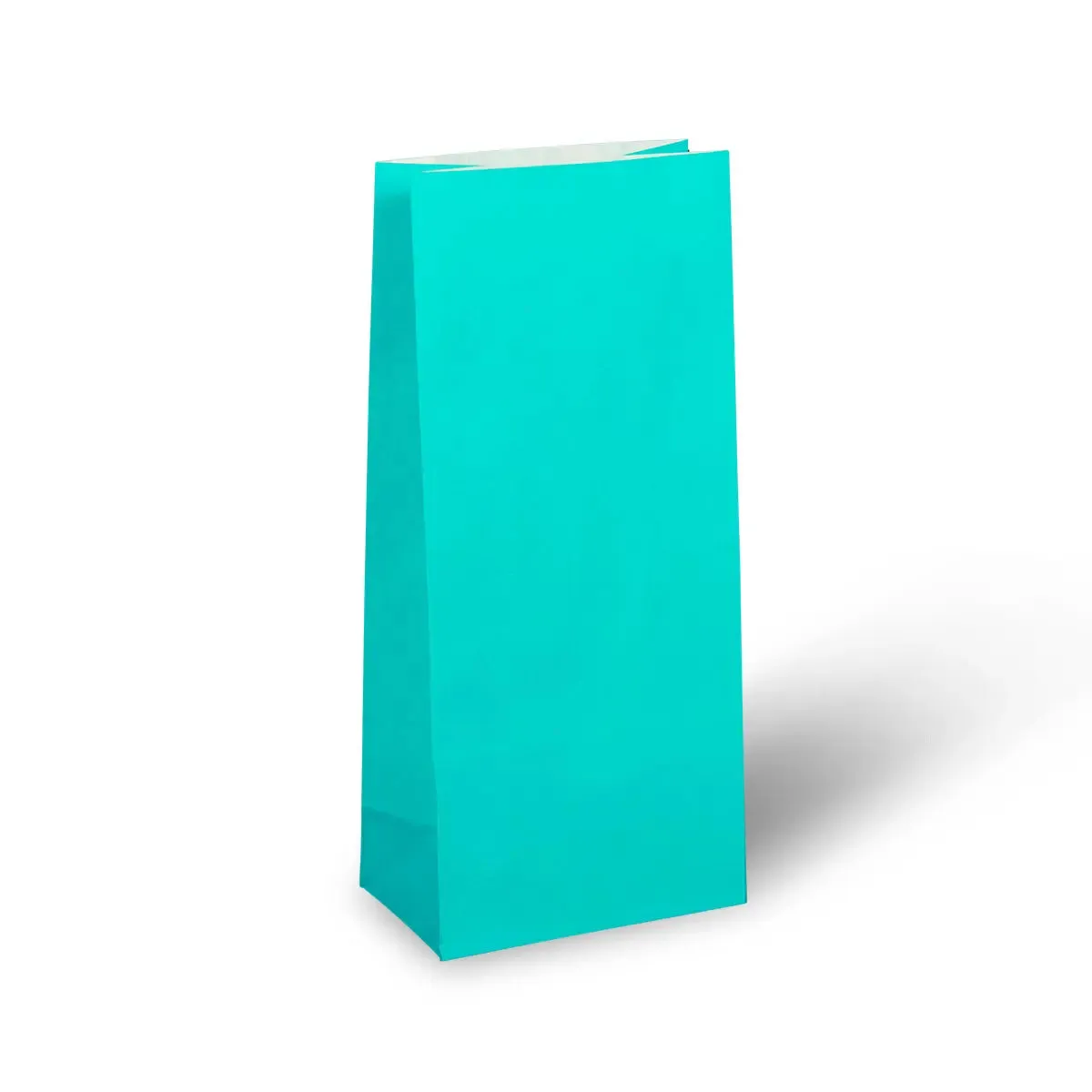 Turquoise Blue Paper Party Bags 22cm x 10cm - Packet of 12