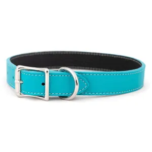 Tuscan Leather Dog Leash Turquoise