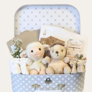 Twins Baby Gifts Trunk - Welcome Babies