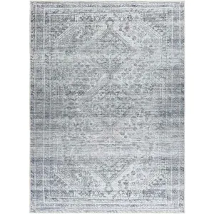 Tyanne Traditional Charcoal Area Rug