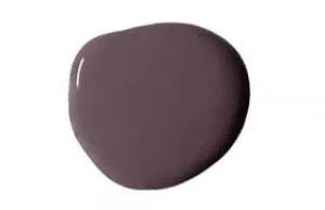 Tyrian Plum 120ml Wall Paint