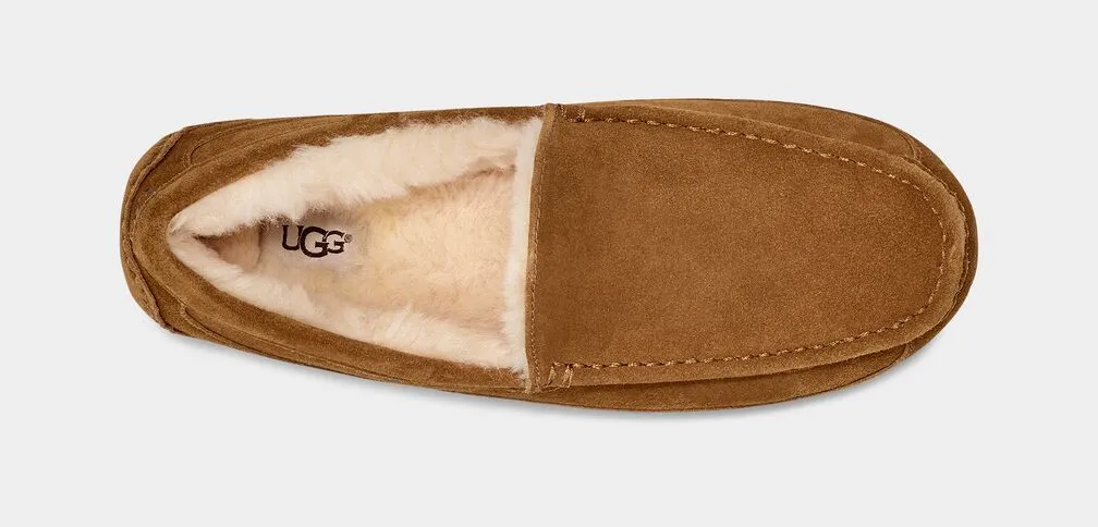 UGG MEN'S ASCOT - CHESTNUT