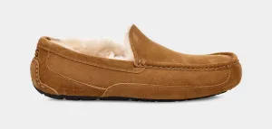 UGG MEN'S ASCOT - CHESTNUT