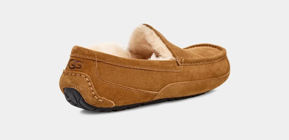 UGG MEN'S ASCOT - CHESTNUT