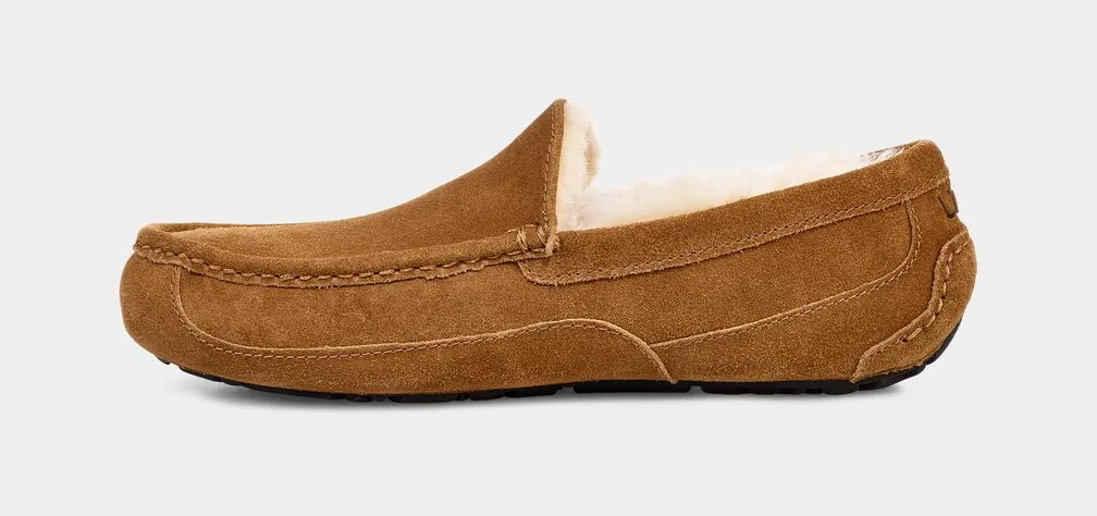 UGG MEN'S ASCOT - CHESTNUT